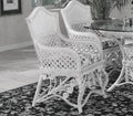 White Wicker Rattan Dining Arm Chair with Cushion Indoor Furniture