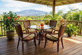 Rattan Dining Chair with Cushion Sienna Brown Woven Arm Chair
